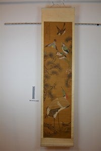 Image description is not available for DU1972.416